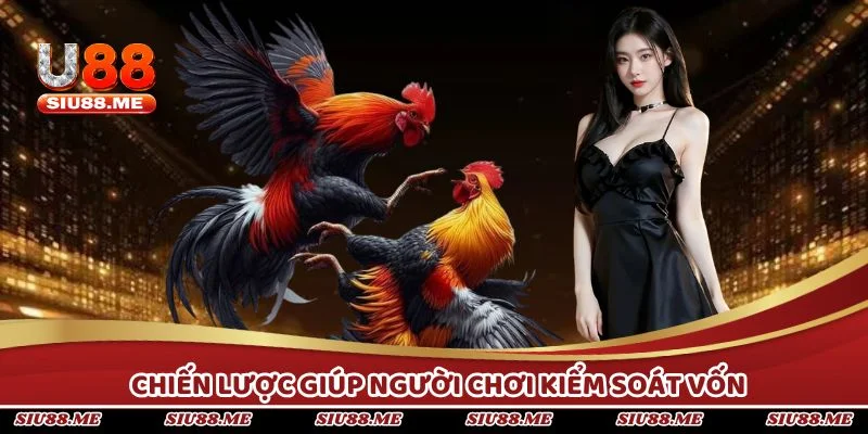 Chiến lược giúp người chơi kiểm soát vốn và nâng cao tỷ lệ thắng