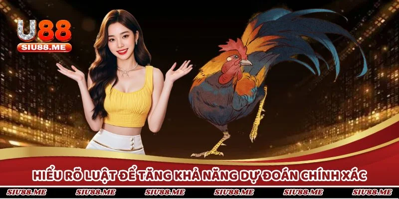 Hiểu rõ luật để tăng khả năng dự đoán chính xác